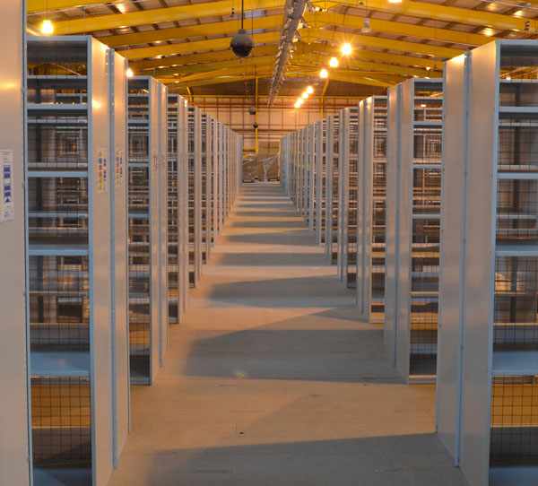 Case-Study-Shelving–01-01
